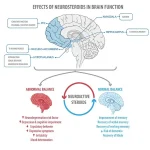 hormones-and-emotions