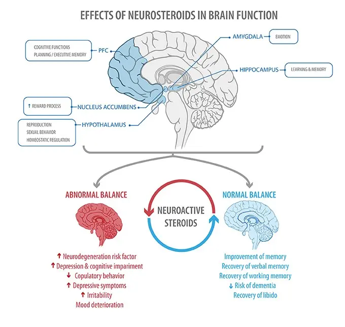 hormones-and-emotions